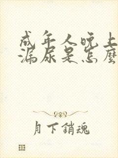 成年人晚上睡觉漏尿是怎么回事