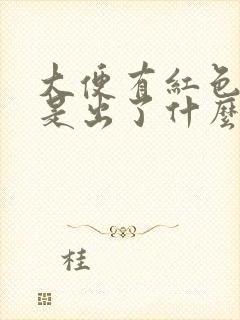 大便有红色粘液是出了什么问题