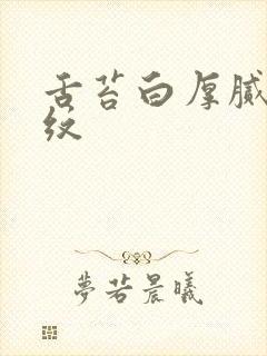 舌苔白厚腻有裂纹