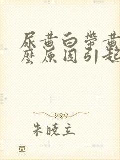 尿黄白带黄是什么原因引起的