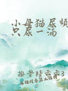 小母猫尿频每次只尿一滴