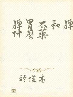 脾胃不和脾虚吃什么药