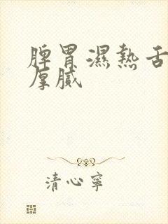 脾胃湿热舌苔黄厚腻