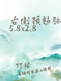 右侧颈动脉斑块5.8x2.8