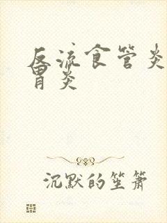 反流食管炎慢性胃炎