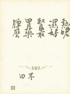 脾胃肾湿热吃什么药最好呢