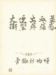 大便出血并伴有撕裂疼痛感