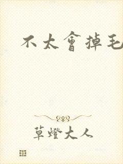 不太会掉毛的猫