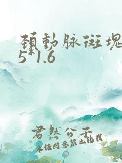 颈动脉斑块7.5*1.6