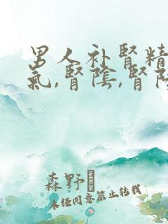 男人补肾精,肾气,肾阴,肾阳的中药