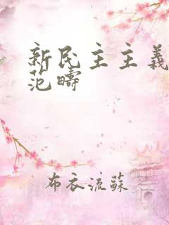 新民主主义革命范畴