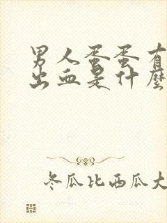 男人蛋蛋有红点出血是什么原因