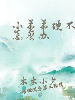 小弟弟硬不起了怎么办