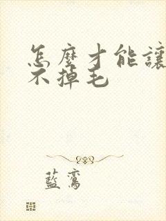 怎么才能让猫咪不掉毛