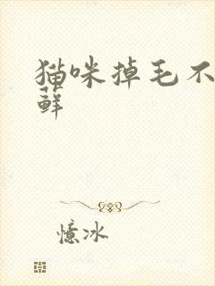 猫咪掉毛不是猫藓