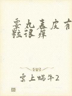 睾丸表皮有小肉粒很痒