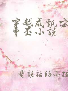 穿越成甄宓嫁给曹丕小说