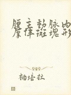 腹主动脉内膜增厚伴斑块形成