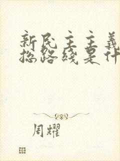 新民主主义革命总路线是什么时候提出的