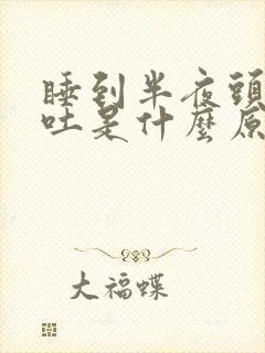 睡到半夜头晕想吐是什么原因