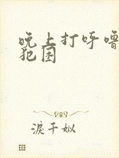 晚上打呼噜白天犯困