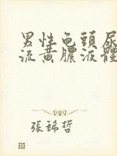 男性龟头尿道口流黄脓液体