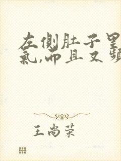 左侧肚子里有胀气,而且又频繁放屁