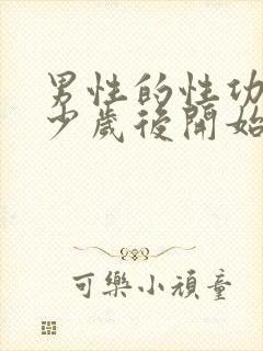 男性的性功能多少岁后开始衰退