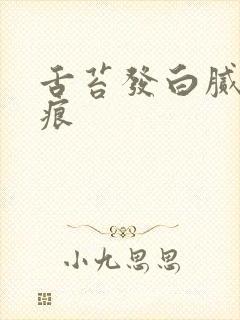 舌苔发白腻有齿痕