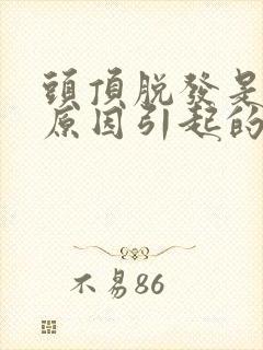 头顶脱发是什么原因引起的女