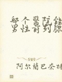 哪个医院能治疗男性前列腺