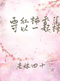 西红柿香蕉牛奶可以一起榨汁吗