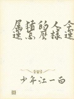 属猪的人今年财运怎么样运气怎么样