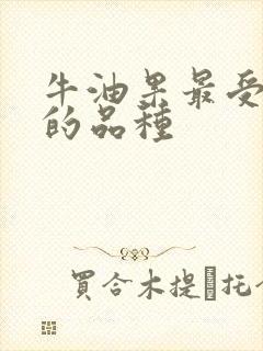 牛油果最受欢迎的品种