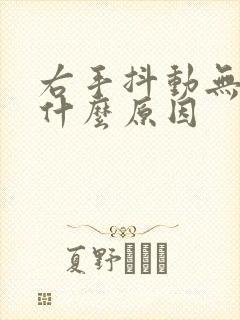 右手抖动无力是什么原因