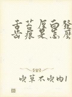 舌苔厚白发黄有齿痕是怎么回事