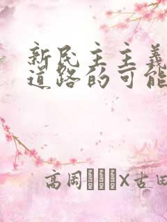 新民主主义革命道路的可能性