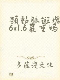 颈动脉斑块7.6x1.6严重吗