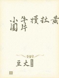 小牛犊拉黄屎的图片