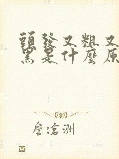 头发又粗又硬又黑是什么原因