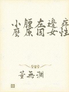 小腹左边疼是什么原因女性没来月经