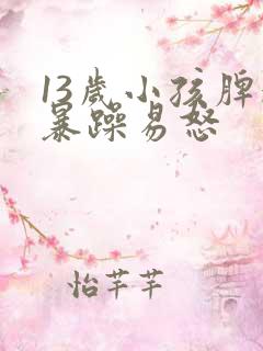 13岁小孩脾气暴躁易怒