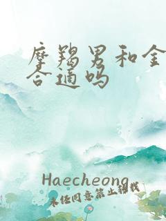 摩羯男和金牛女合适吗