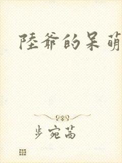 陆爷的呆萌甜妻