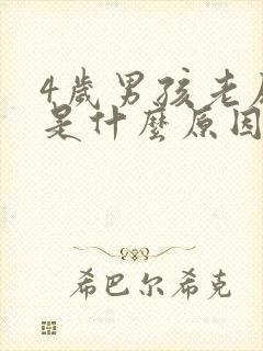 4岁男孩老尿床是什么原因