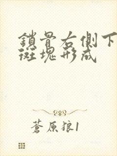 锁骨右侧下动脉斑块形成