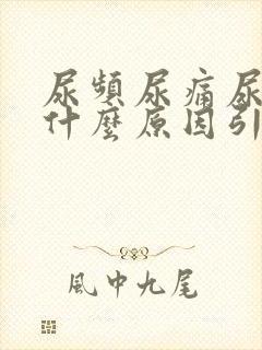 尿频尿痛尿血是什么原因引起的