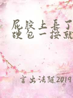 屁股上长了一个硬包一按就疼