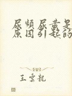 尿频尿黄是什么原因引起的