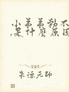 小弟弟勃不起来,是什么原因